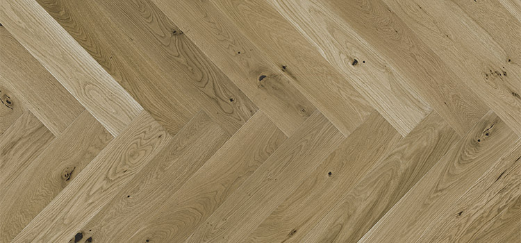 dab-toffee-jodla-klasyczna-130-polac-750x350-3.jpg